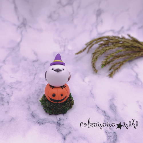 かぼちゃの上にちょこんと座るシマエナガさん♡シマエナガさんの