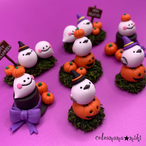 かぼちゃの上にちょこんと座るシマエナガさん♡シマエナガさんの