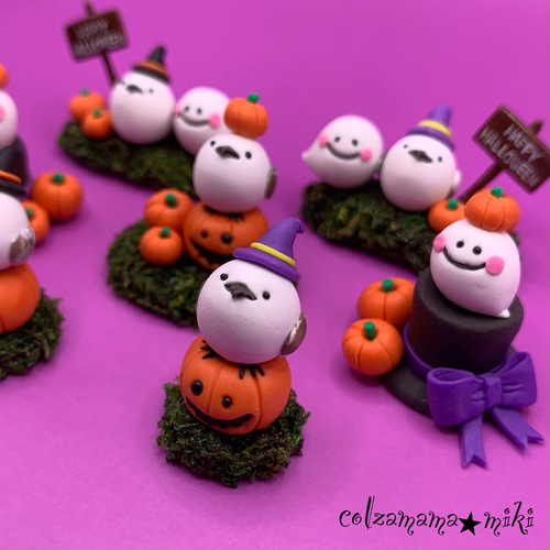 かぼちゃの上にちょこんと座るシマエナガさん♡シマエナガさんの