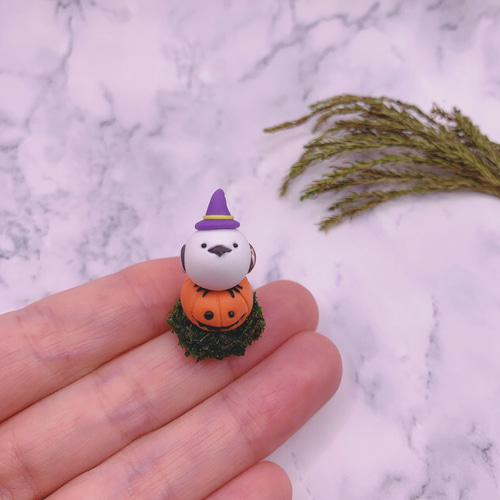 かぼちゃの上にちょこんと座るシマエナガさん♡シマエナガさんの