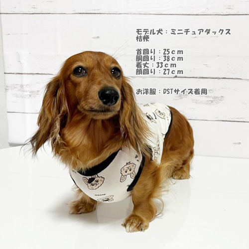 きなこさま確認用☺︎わんこふく