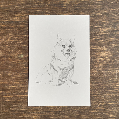 ペットの鉛筆スケッチ☆受注生産☆ 絵画 fukafuka pintor 通販 ペットの鉛筆スケッチ☆受注生産☆ 絵画 fukafuka pintor 通販
