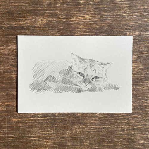 ペットの鉛筆スケッチ☆受注生産☆ 絵画 fukafuka pintor 通販