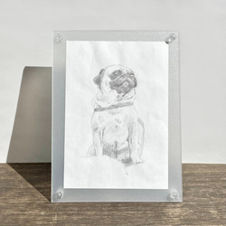 2024特集 絵画 ペットの鉛筆スケッチ☆受注生産☆ fukafuka 通販 pintor 絵画