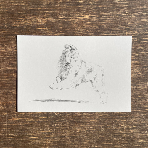 ペットの鉛筆スケッチ☆受注生産☆ 絵画 fukafuka pintor 通販 ペットの鉛筆スケッチ☆受注生産☆ 絵画 fukafuka pintor 通販