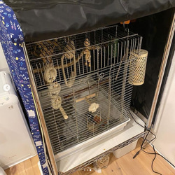 美品！HOEI鳥かご465 おやすみカバー、防寒カバー付き 即納在庫品] HOEI 鳥かご+おやすみカバーセット 465オカメ