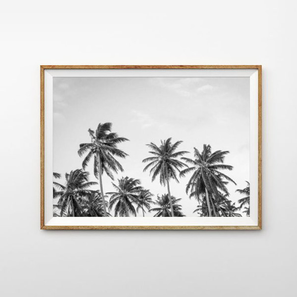 カリフォルニア California Palm tree モノトーン パームツリー ポスター 1枚目の画像