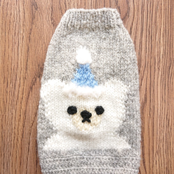 胴回り42〜45センチ モフモフくまちゃんセーター 手編み 犬服 ペット服