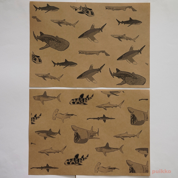 紙書封面鯊魚（單色）（5 件套） 第3張的照片