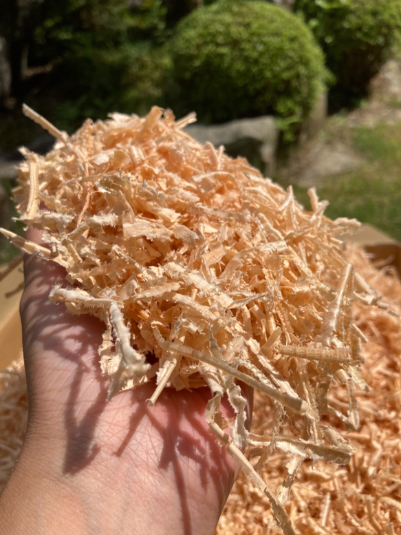 ☺︎製材所の挽きたておがくず☺︎500g ひのき　Hinoki 3枚目の画像