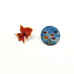 【外科不銹鋼耳環】水族金魚水箱可愛耳環 第3張的照片