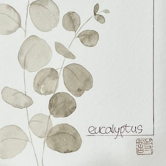 ［水彩画:原画］eucalyptus00026 ユーカリ 4枚目の画像