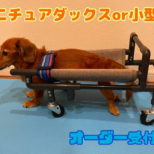 介護を必要とするワンちゃんの（ミニチュアダックス専用）四輪歩行器 