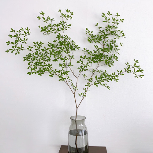 繊美透涼。山採りドウダンツツジ。 【公式通販】