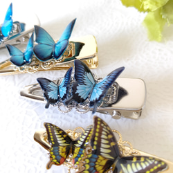 蝶々ヘアクリップ(ヘアピン)♪アゲハ蝶、オオルリアゲハ、モルフォ蝶