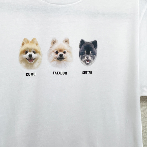 Tシャツ メンズ レディース 子ども うちの子 オーダー 半袖 おしゃれ 猫 犬 ポイント 名入れ 12枚目の画像