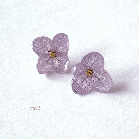 再販♡紫陽花ピアス 再販9【rie.t】本物の紫陽花 ピアス／イヤリング ピアス（スタッド・一