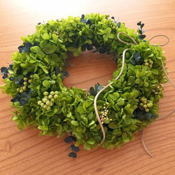 送料無料]オレガノケントビューティーのふんわりリース ドライフラワー