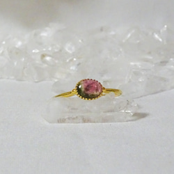 1890 1.37ct 虹入り トルマリン バイカラートルマリン 