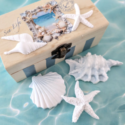選べる香り!海の木箱アロマボックス✨大きめシェルのアロマ