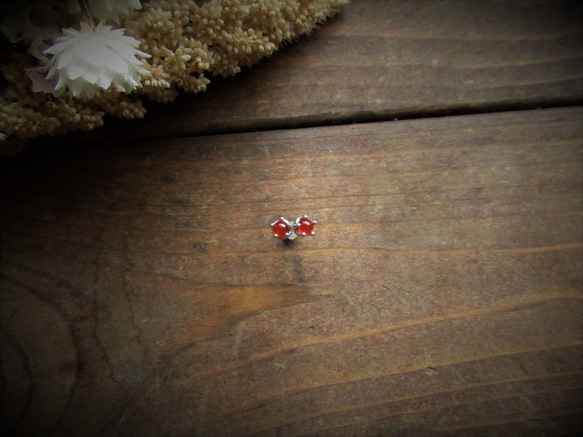 皇冠耳環 - 變革的種子 - 紅玉髓 [定制] 第2張的照片