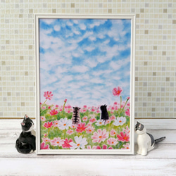 A4ポスター 猫パステル画〈コスモス畑と秋の空～トロとクロ