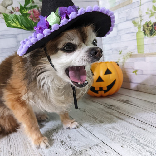 ハンドメイド 野菜 帽子 コスプレ ハロウィン オーダー可 121