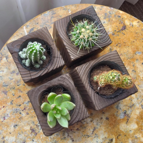 【Tiffany：新品・未使用】植物と昆虫デザインの食器セット c3c9c1eddfb2f327aed23fcff9a40e
