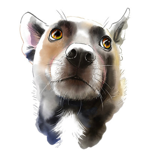 ペットの似顔絵（サンプル）