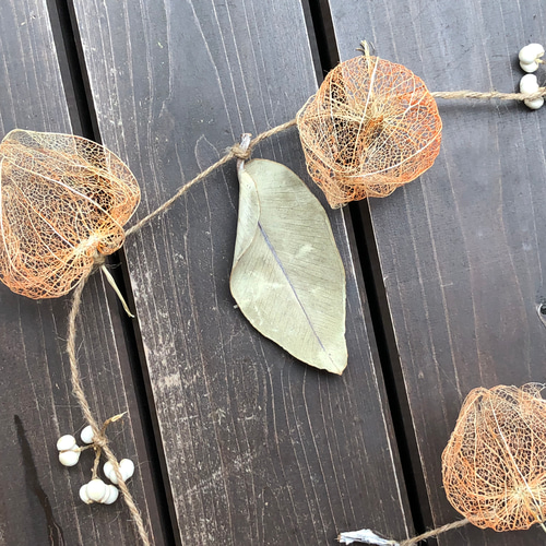 送料込】【SALE】秋の網ほおずきのガーランド ドライフラワー Studio