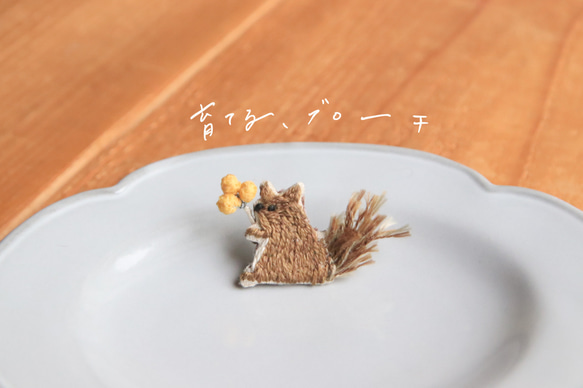 [Growing Brooch] Squirrel Usufuji / ito play! 胸針 第7張的照片