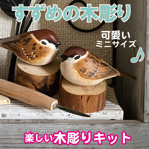 木彫りカワセミが作れるセットです。 図面、写真付♪バード