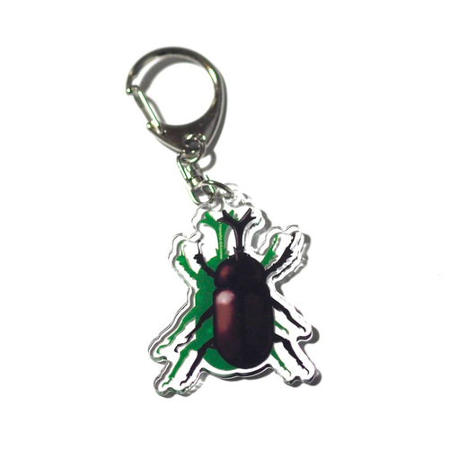 いきものアクリルキーホルダー<カブトムシ> その他雑貨