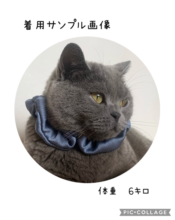 猫用首輪　【少しクシュクシュ感弱め】シュシュ首輪　オリジナルチャーム付き　猫首輪　エレガント首輪 3枚目の画像