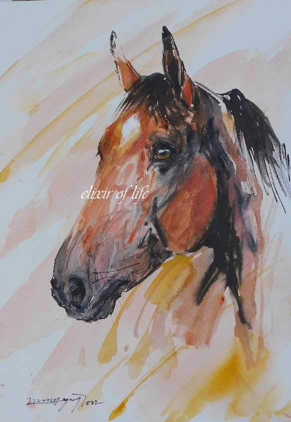 馬の水彩画 オレンジと黒 水彩画 暴れ馬 絵画 makochin 通販 17825403｜Creema(クリーマ)