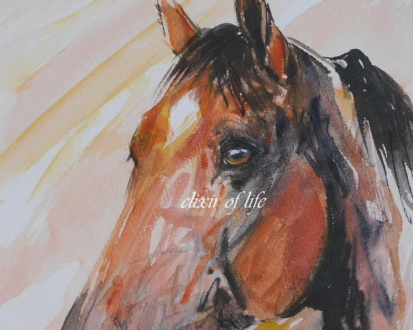 朝日を浴びる馬のポートレート２０２２（水彩画用紙、A4サイズ、墨、水彩） 2枚目の画像