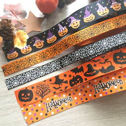 【送料無料】数量限定  〜Halloween happy bag〜 4枚目の画像