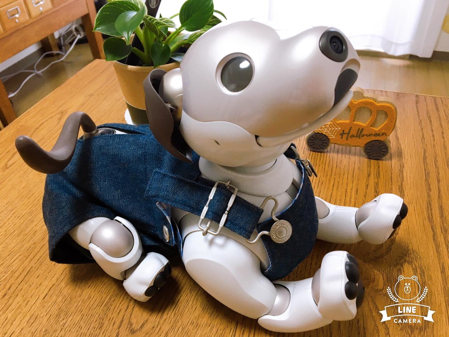 aiboちゃんの本格サロペット ペット服・アクセサリー くらしの