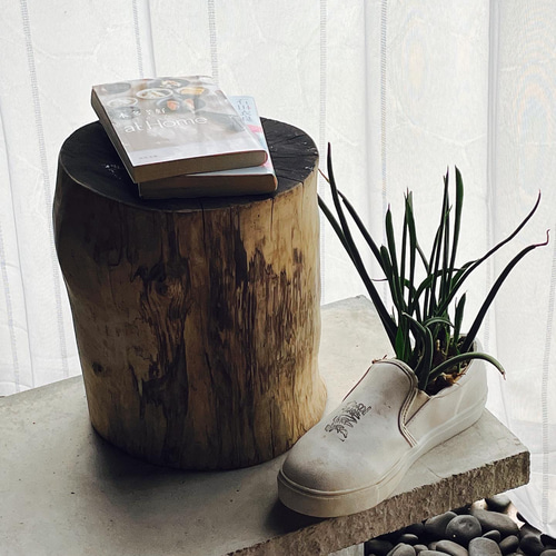 白樺の木 スツール その他インテリア雑貨 タケロー 通販 14559277