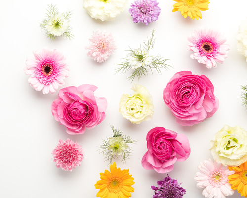 【速達】LAN&LANページ 速達追加料金 その他素材 tokotoko 通販 14560155｜Creema(クリーマ)