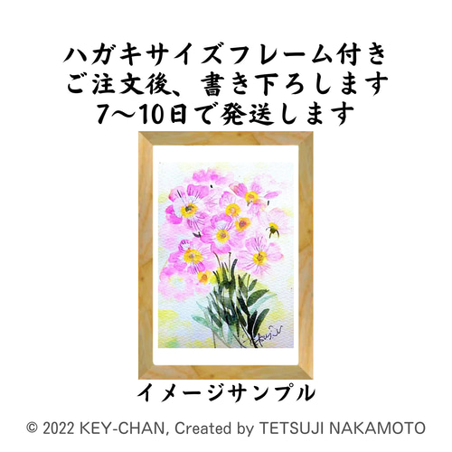 きょう水彩画「昼咲き月見草」BF0902 絵画 キーちゃん 通販
