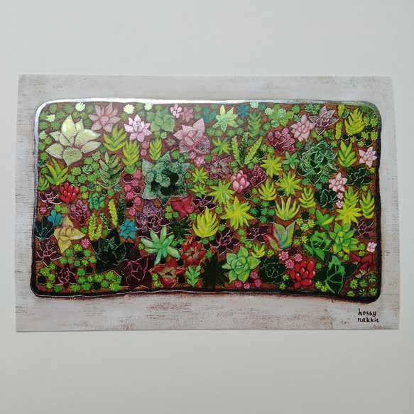 多肉植物の寄植え×Sプリズムポストカード 1枚目の画像