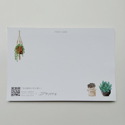 多肉植物の寄植え×Sプリズムポストカード 2枚目の画像