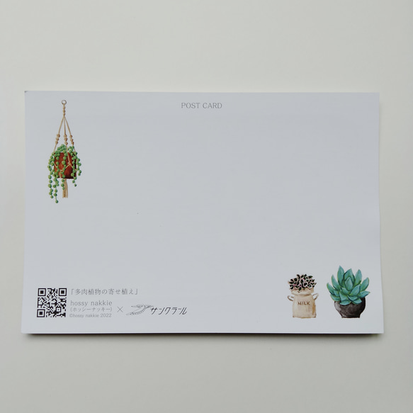 多肉植物の寄植え×Sプリズムポストカード 2枚目の画像