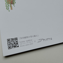 多肉植物の寄植え×Sプリズムポストカード 3枚目の画像