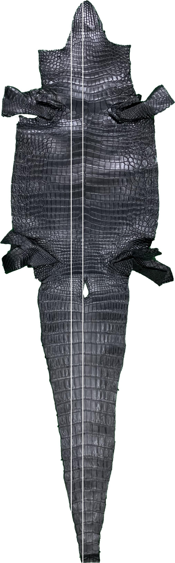 日本製　クロコダイル　LLサイズ　35㎜巾　本無双　手縫い　真鍮磨き上げ金具　ベルト　エキゾチックレザー 8枚目の画像