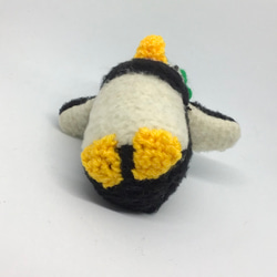 ミドリのポンポン・大きなニット帽の小さなペンギン 5枚目の画像