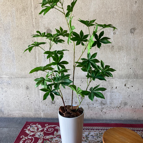 光触媒　人工観葉植物　ウォールグリーン　フェイクグリーン　サバンナバオバブ 光触媒 人工観葉植物 ウォールグリーン フェイク フラワー サバンナ