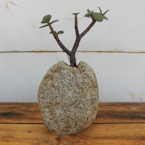 庵治石 花瓶 一輪ざし 【公式通販】