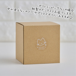 【限時】波斯菊小貓燈籠 第10張的照片